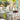 French Tablecloth Collection | Louise Set fall table