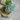 Ragon House - 20" MIXED BLUE HYDRANGEA STEM