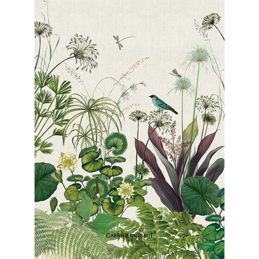 French Tea Towels