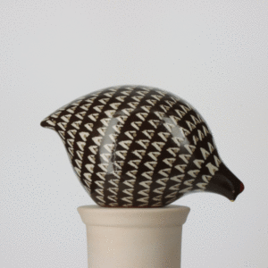 Small black hen with white markings