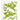Green and white patterned cloth with rabbit design and 'Jangneus' branding
