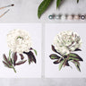 Two floral illustrations on a gray background with art supplies.
