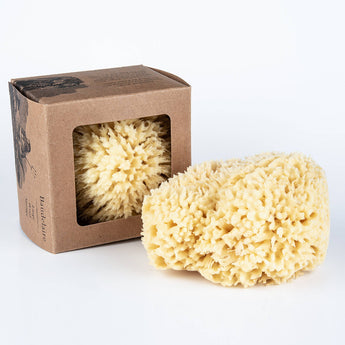 Bath Sea Sponge