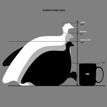 Size comparison between guinea fowl figures