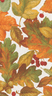 Leaves on white background