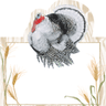 Turkey cutout on white cardstock