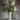Floral arrangement in a textured vase against a textured wall