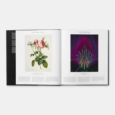 Phaidon - Plant