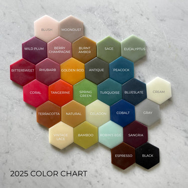 Hexagonal color swatches with names on a textured gray background, labeled '2025 Color Chart'.