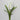 Artificial Cream White Hyacinth 12.5”